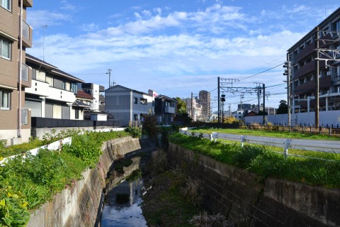 Gallery-1
